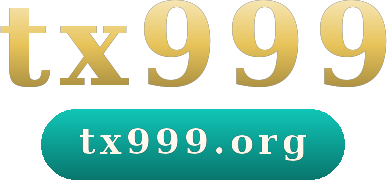 tx999 logo